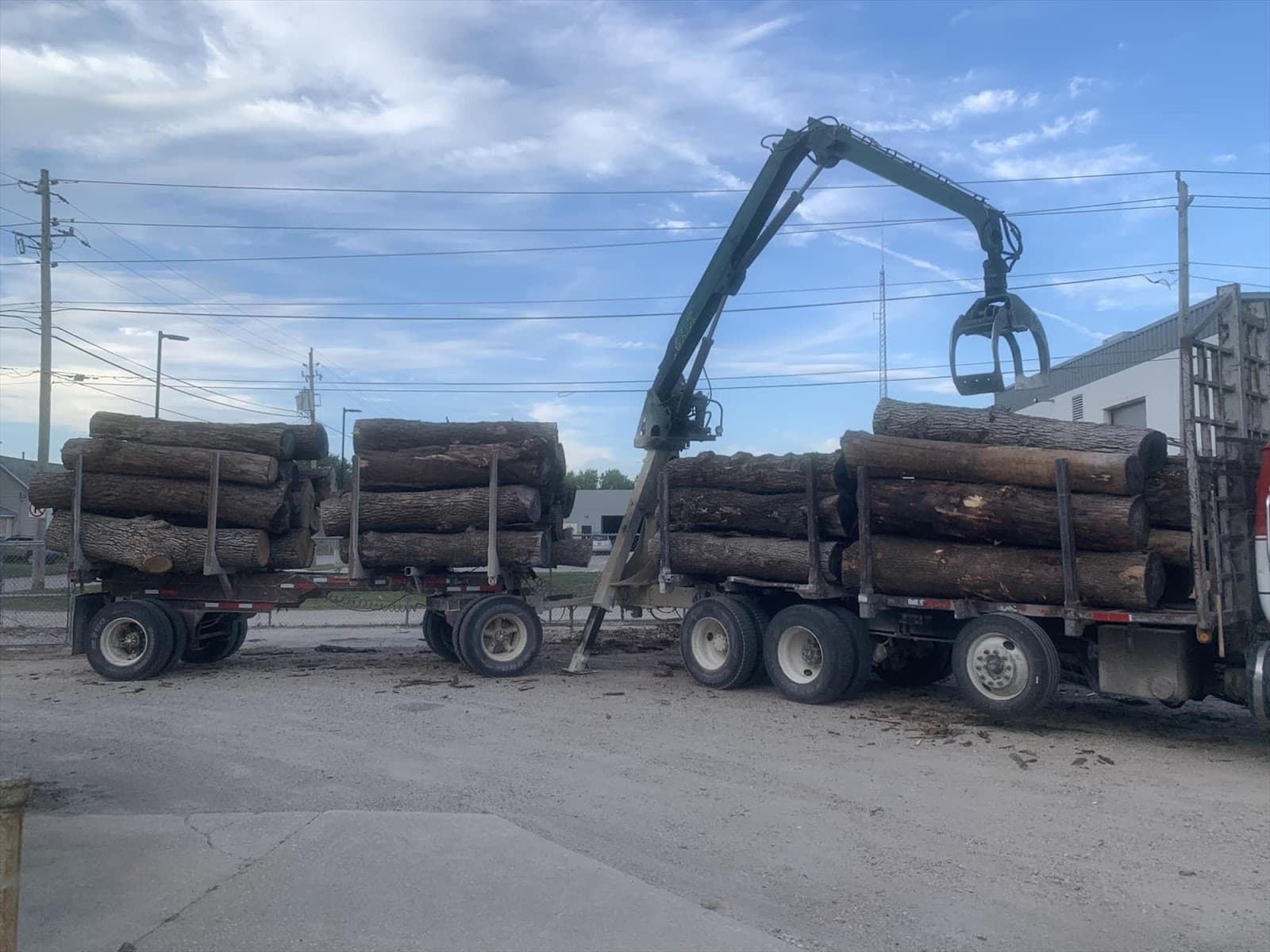 Steimel Tree Service