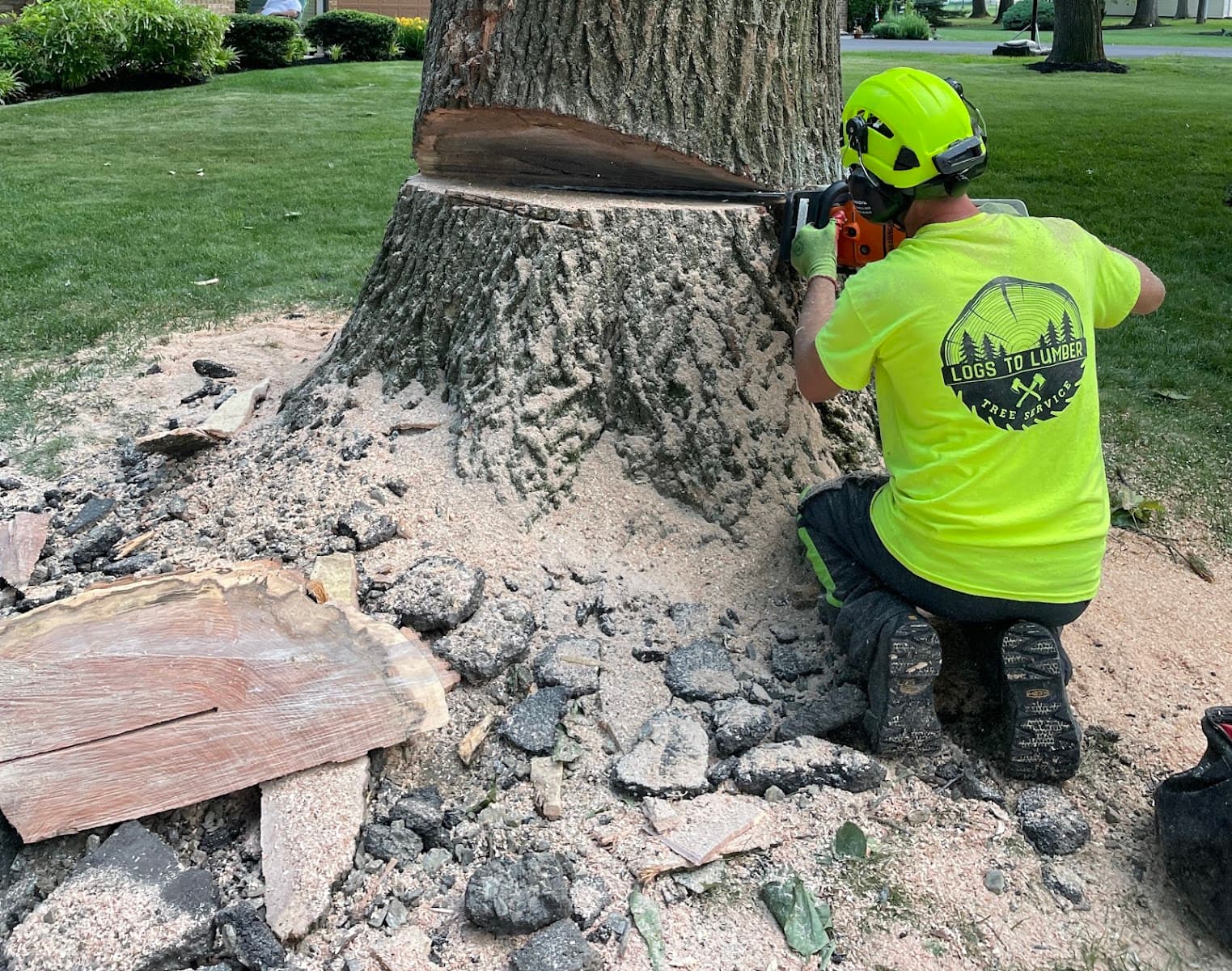 Logs to Lumber Tree Service