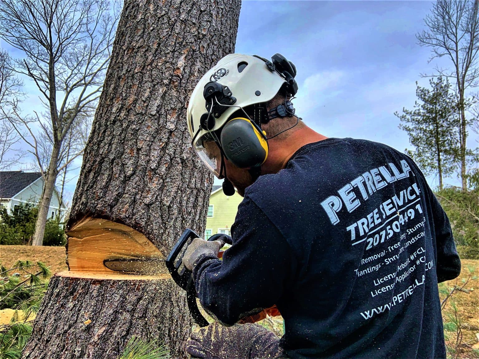 Petrella Tree Service, LLC