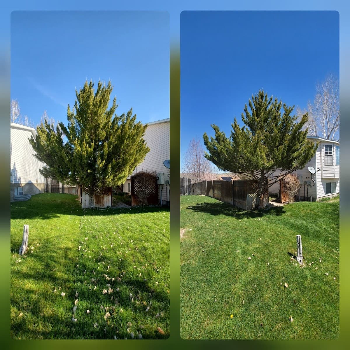 New Leaf Solutions LLC (Tree Service)