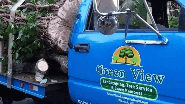 Green View Tree Service