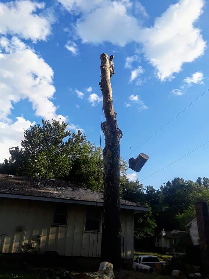 Tully’s Tree Service