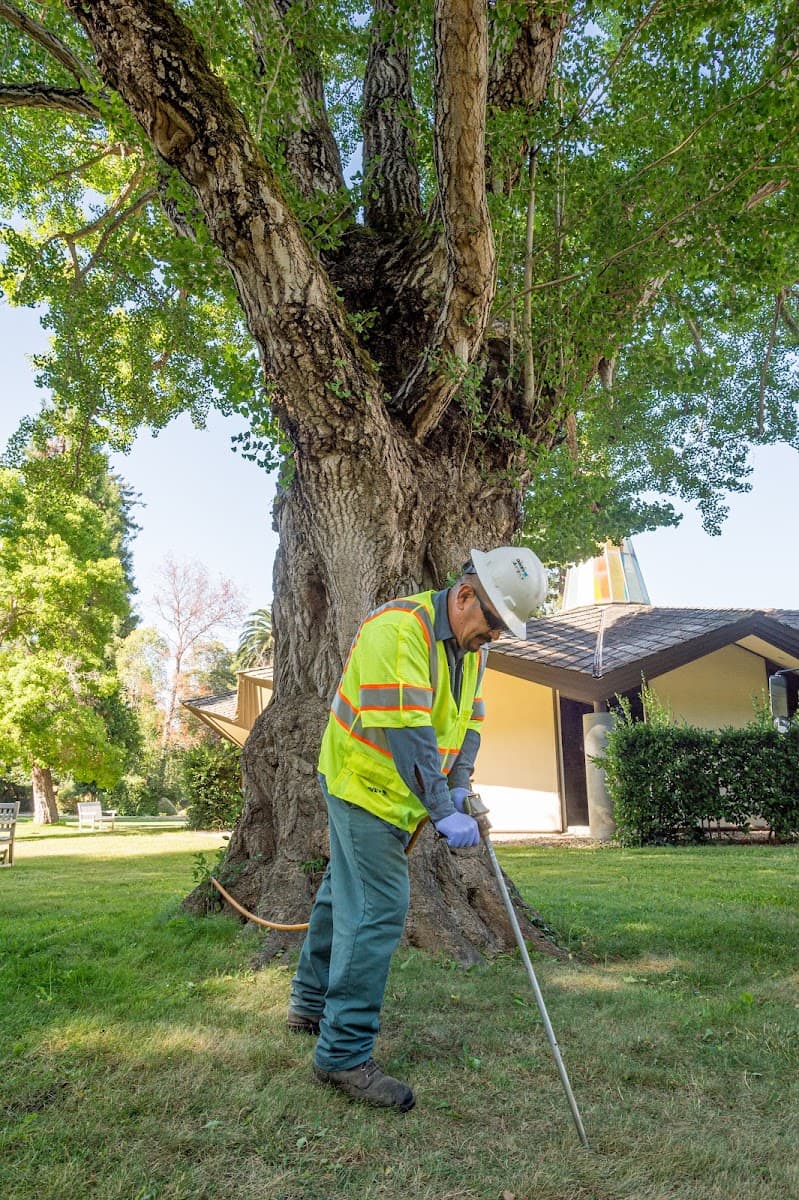 The Davey Tree Expert Company
