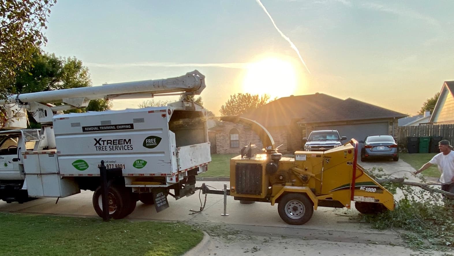 XTreem Tree Services