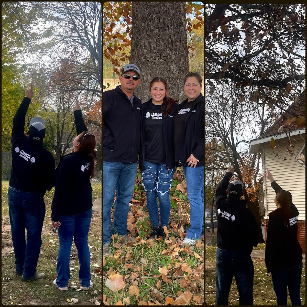 JL Absolute Tree Service