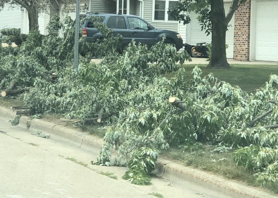 Madison Tree Removal