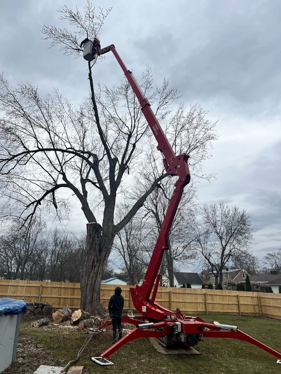 KD Tree Service Albany NY