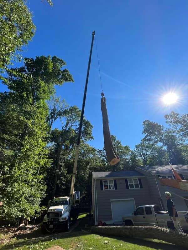 APLUS TREE SERVICE