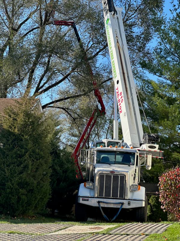 Reasonable Tree Experts