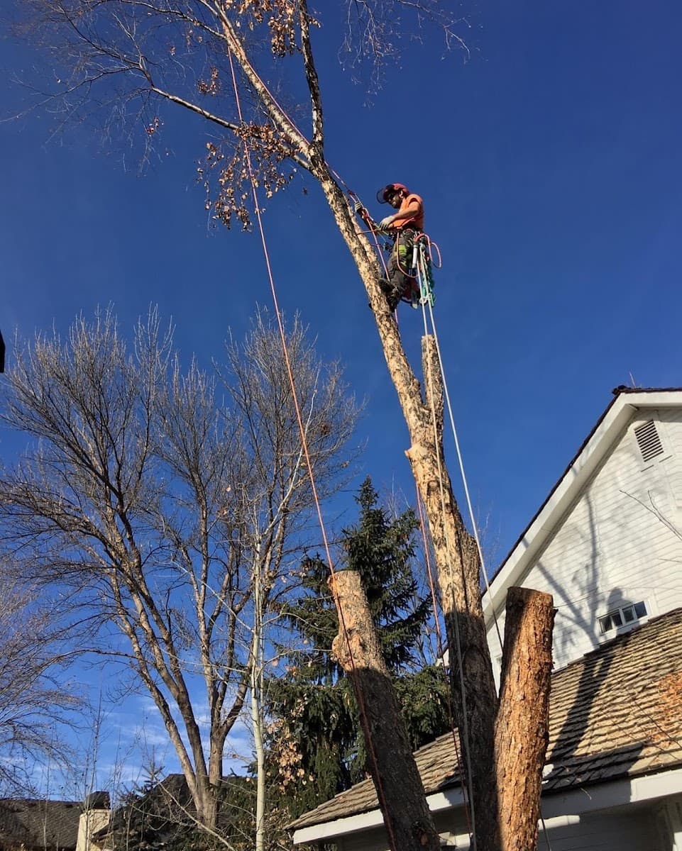 North Fork Tree Service LLC