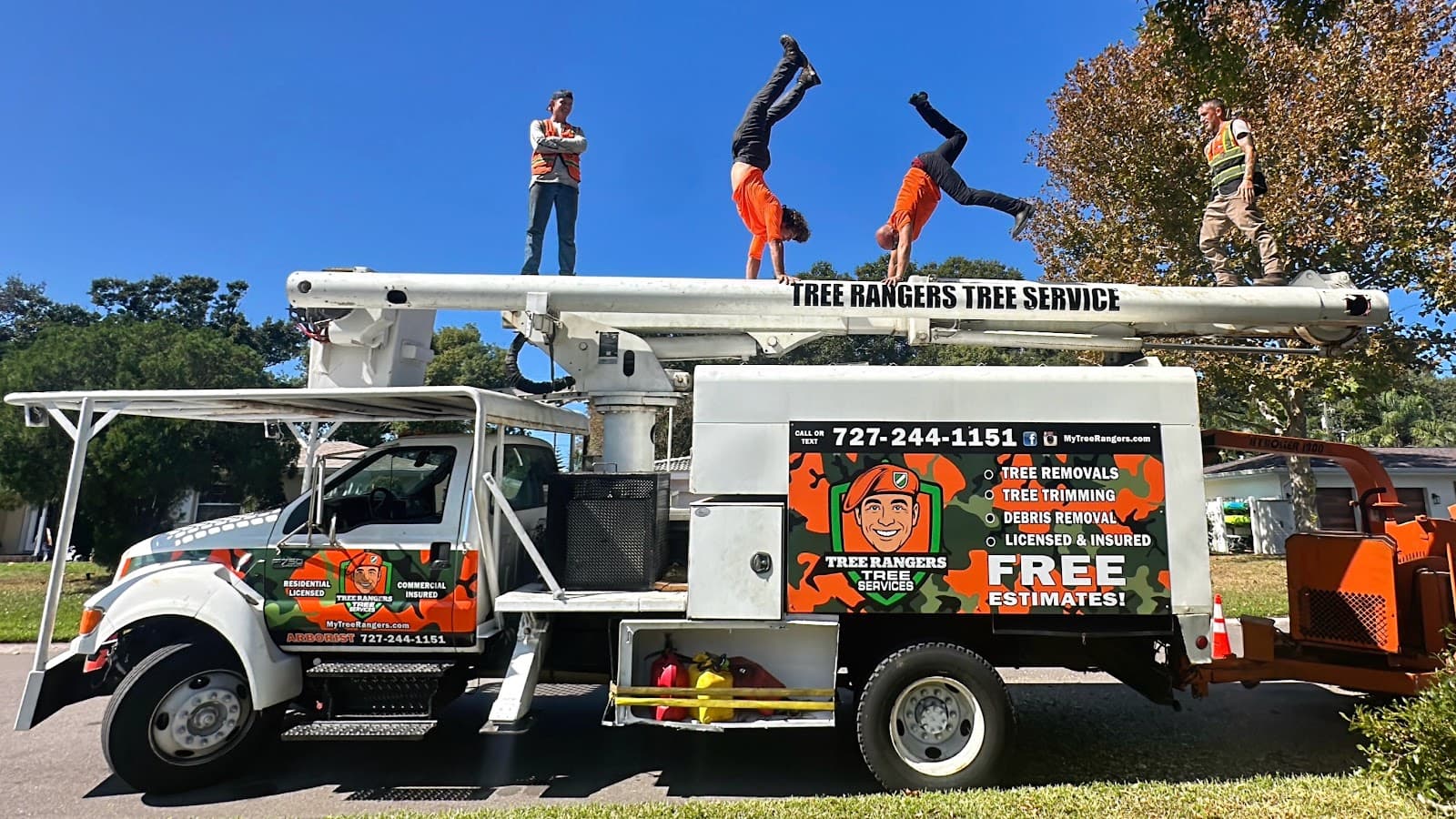 Tree Rangers Tree Service
