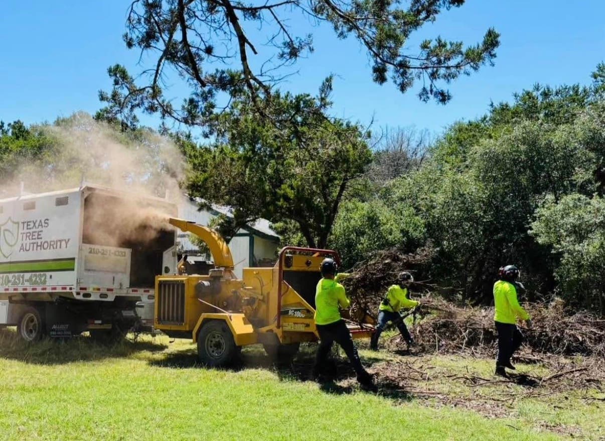 Texas Tree Authority