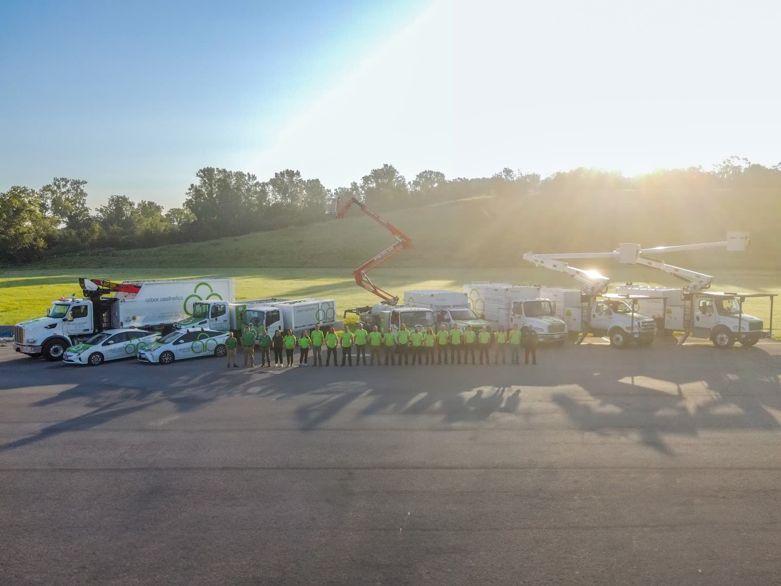 Arbor Aesthetics Tree Service