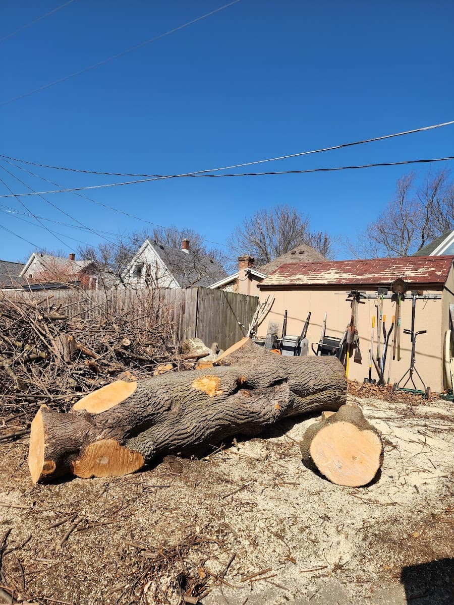 Lopez Tree Removal LLC
