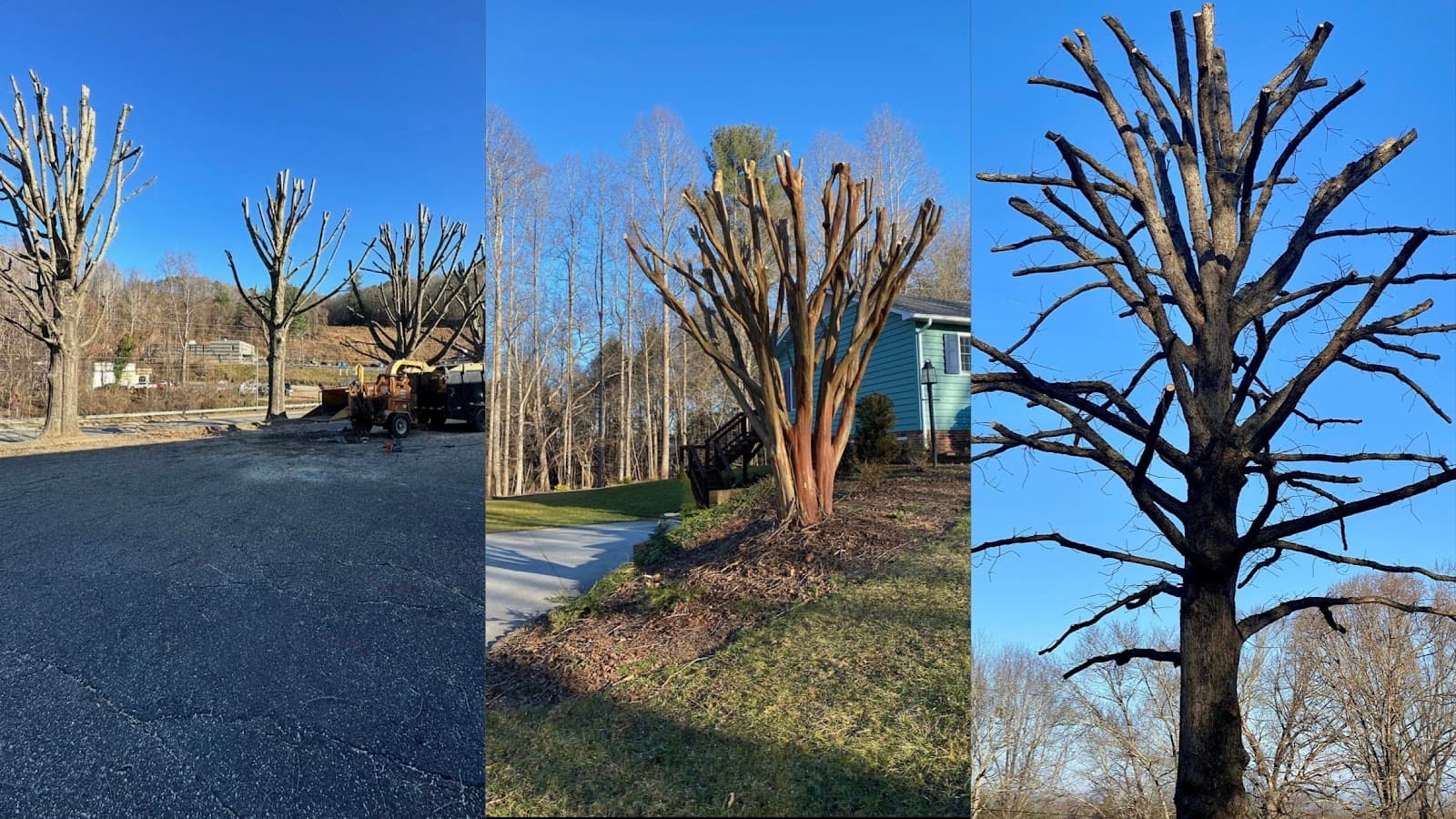 Guardian Stone and Tree Care