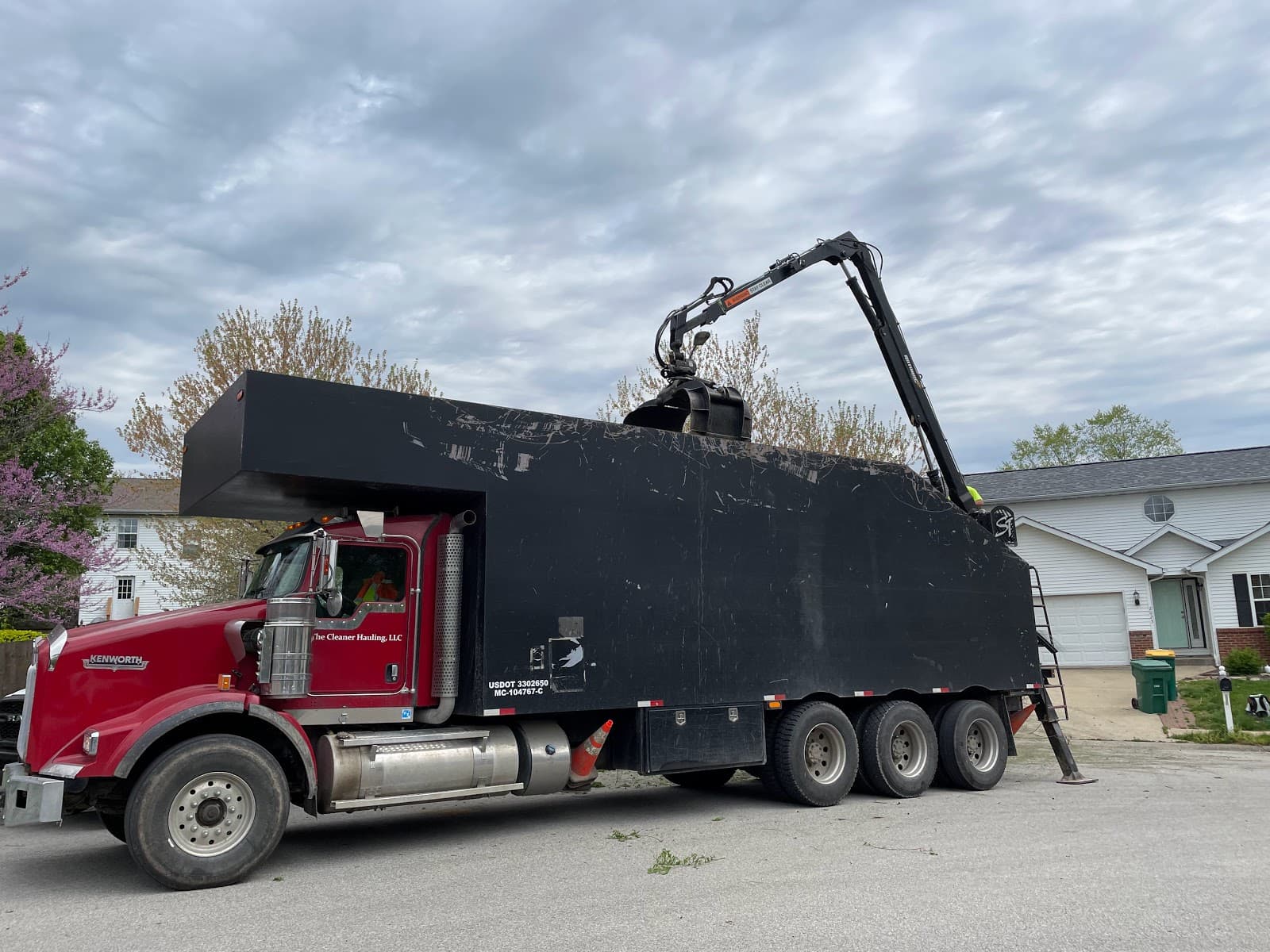 Roots Tree, Stump, and Land