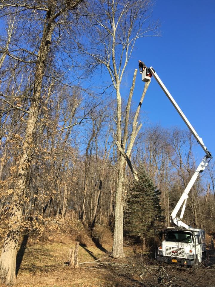 JHM Tree Service