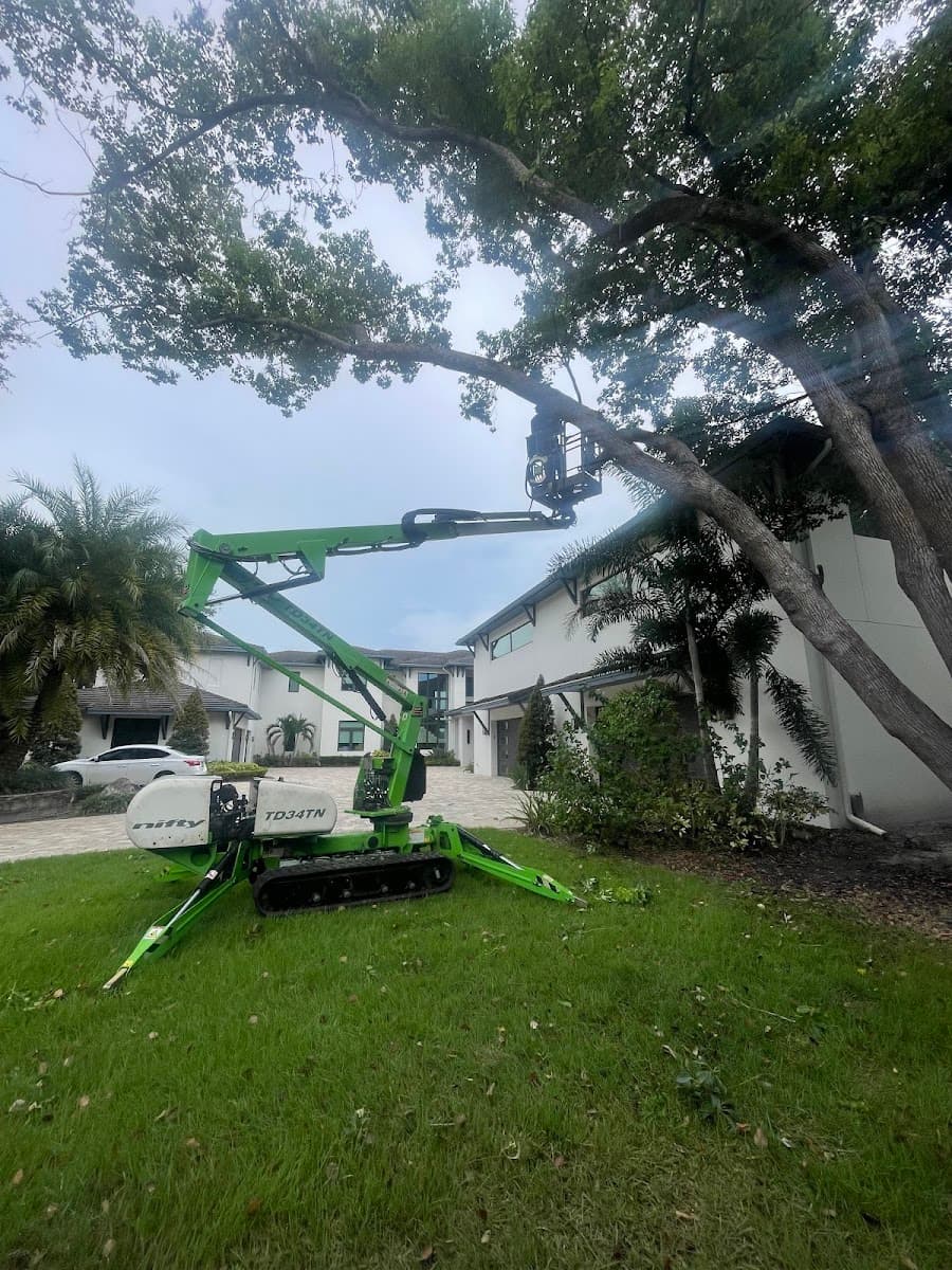 Albert & Ellis Landscaping & Tree Service