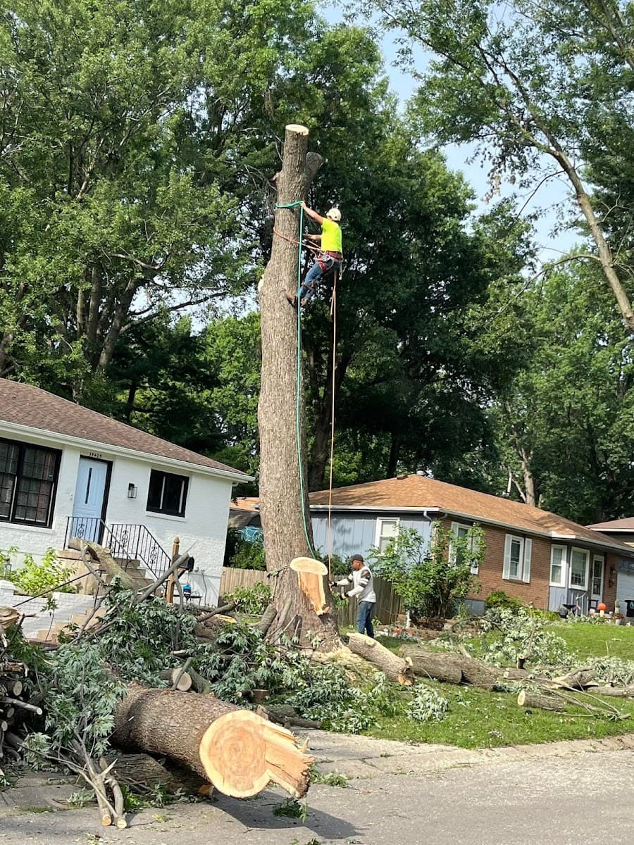 Arbor Multiservices, LLC