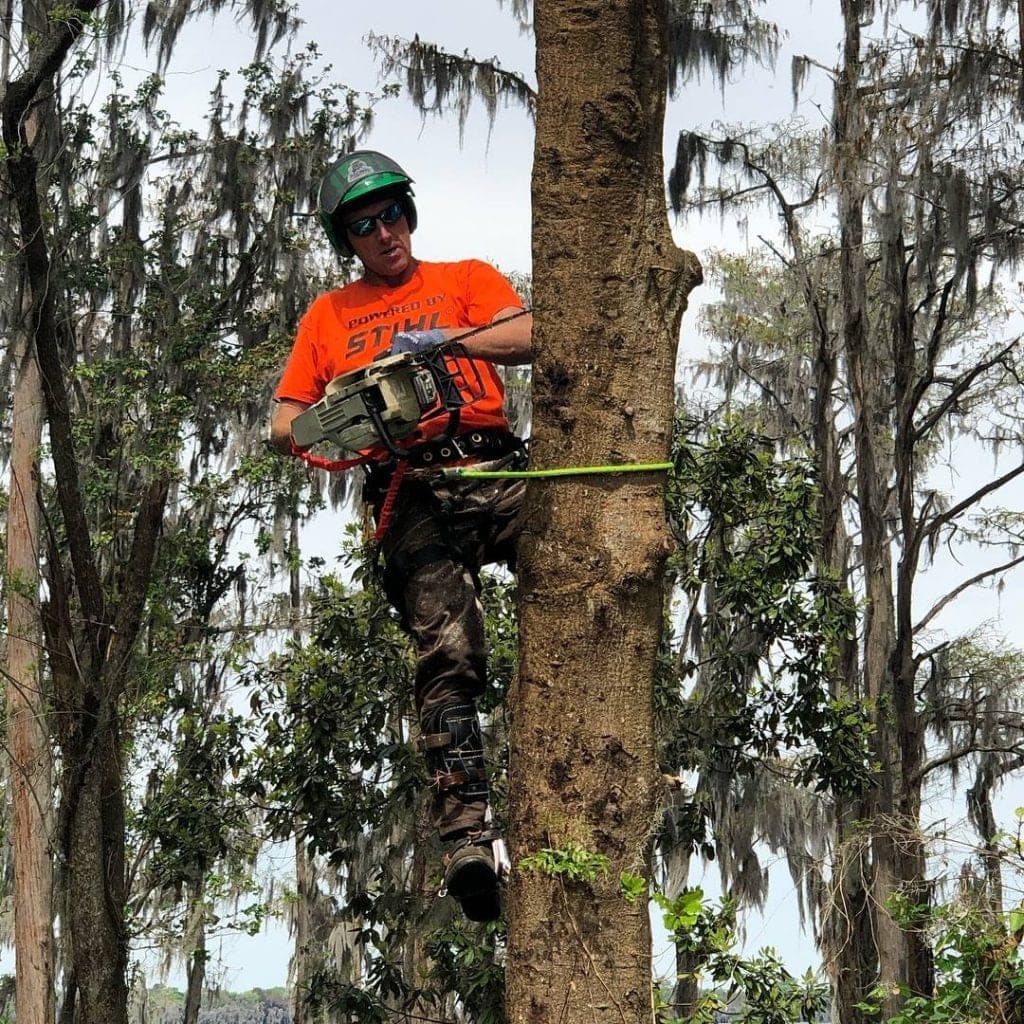The Heart of Wood Tree Service