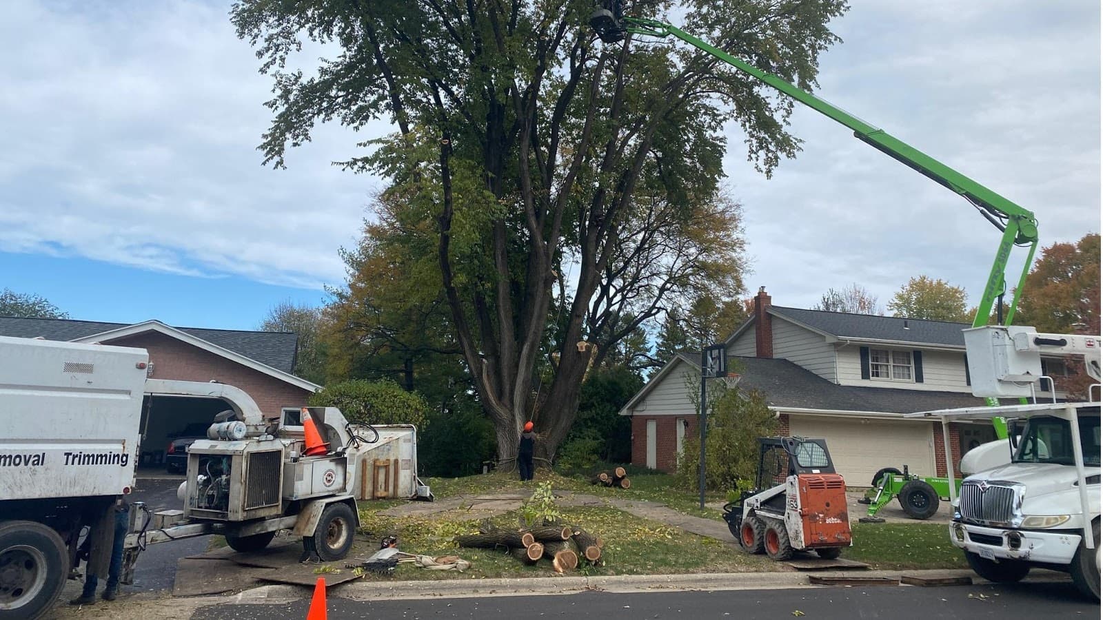 Smetters Tree Service