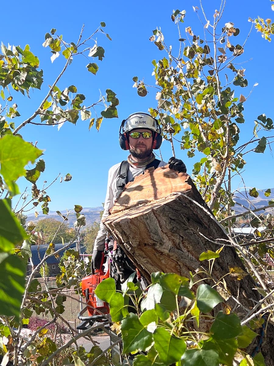 Colorado Premier Tree Care