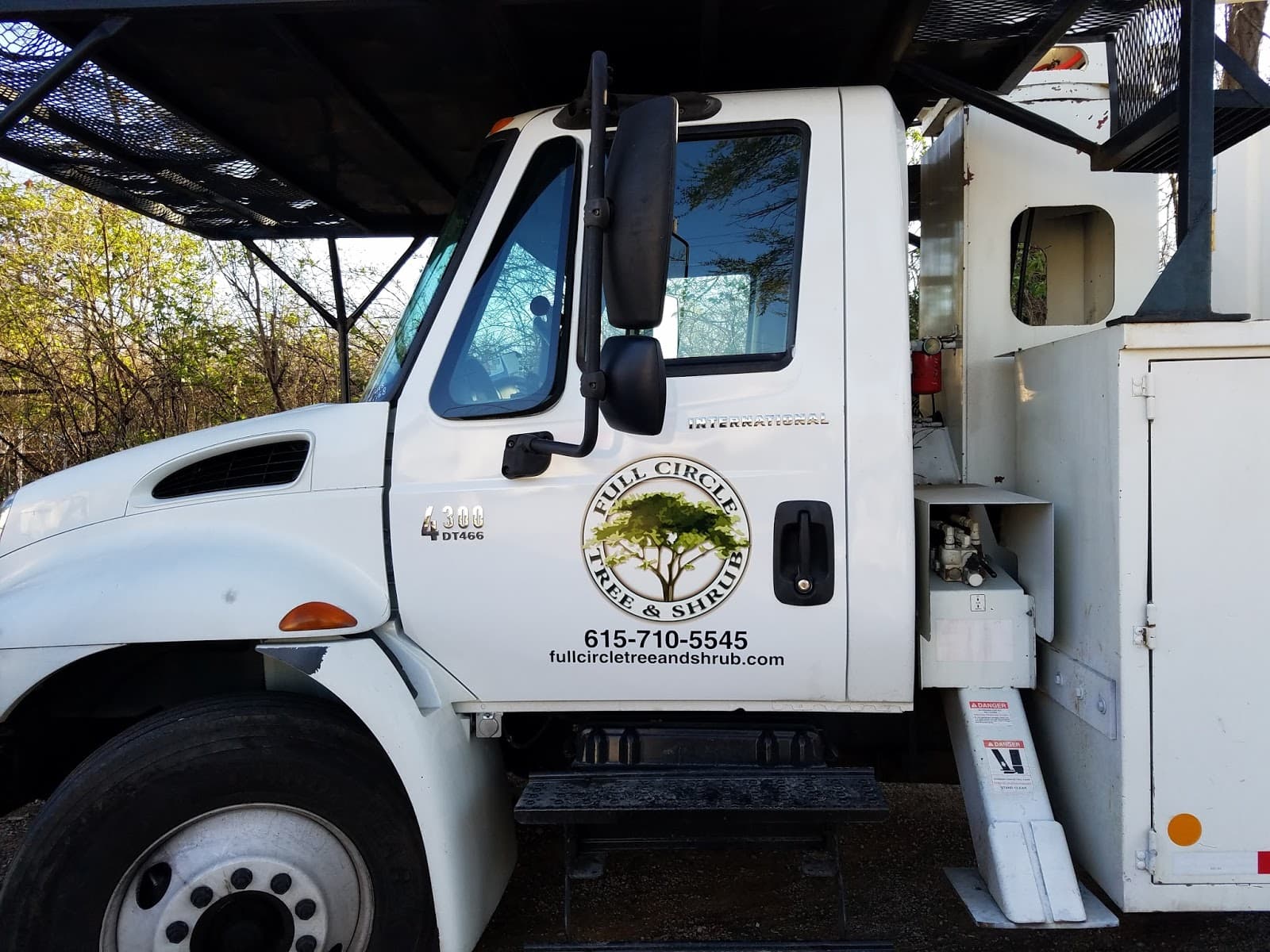 Full Circle Tree Shrub