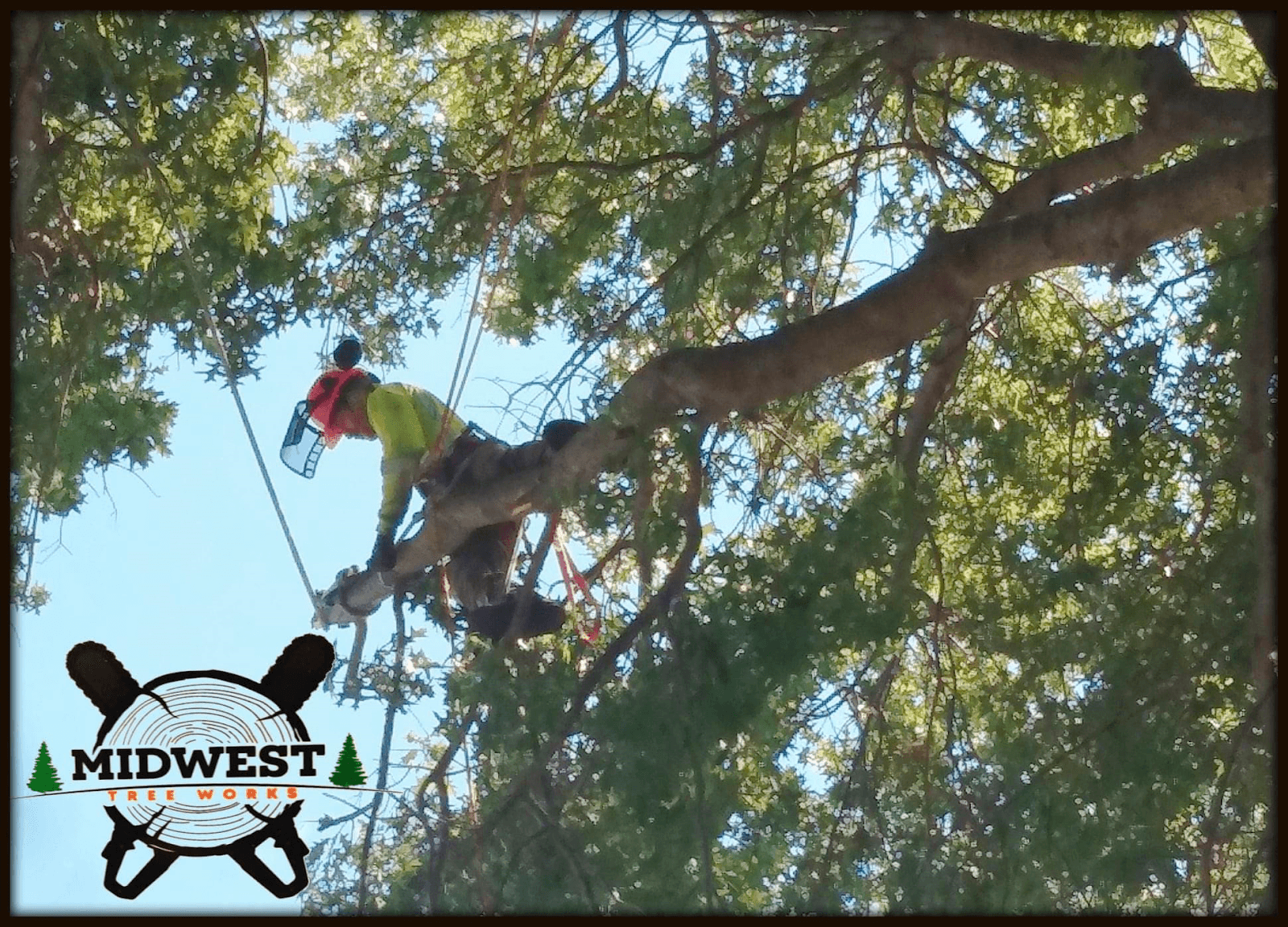Midwest tree works