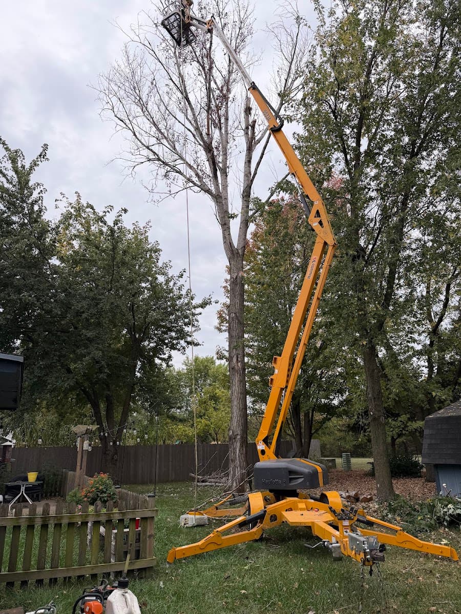 Taylor Lawn and Tree