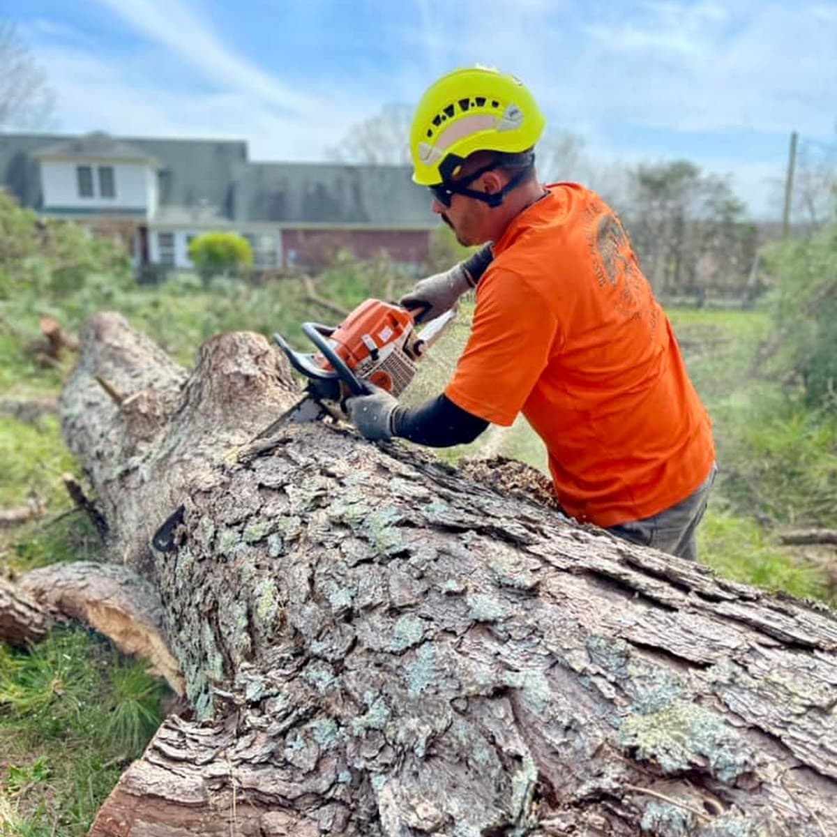 Ross Family Tree Service LLC