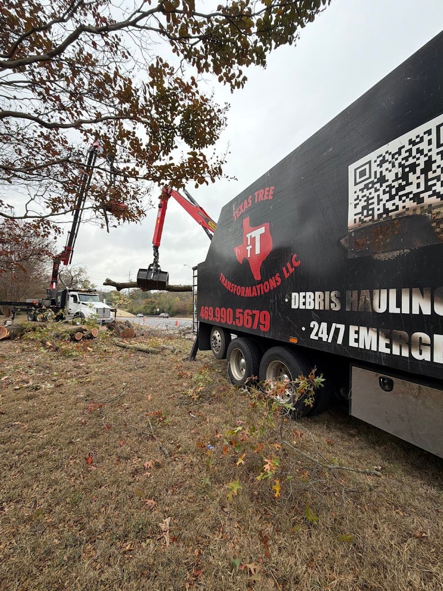 Texas Tree Transformations