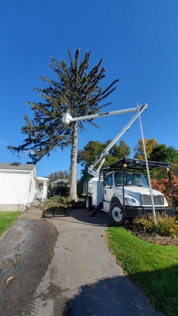 4 Seasons Tree Service