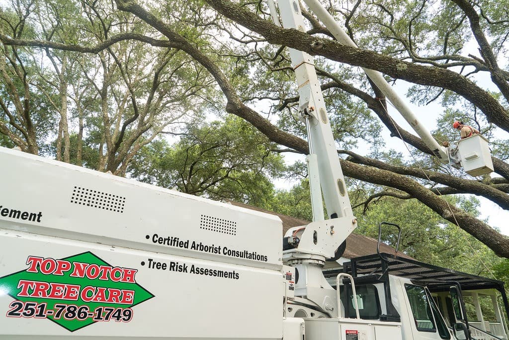 Top Notch Tree Care