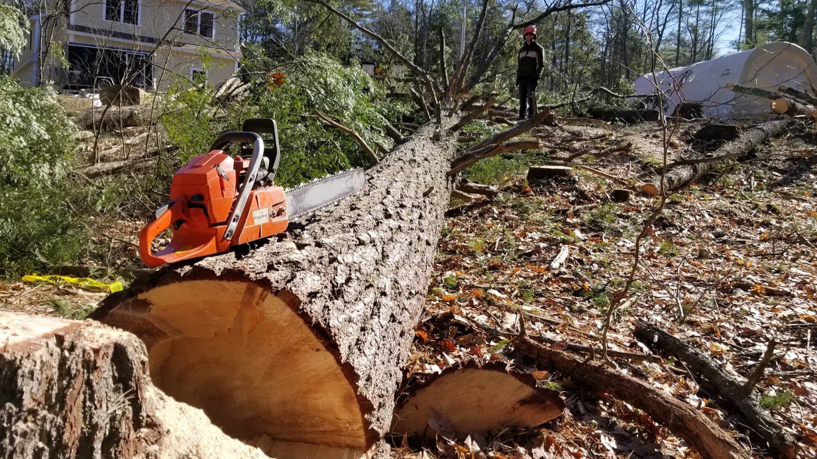 Grogan & Son Tree Service, LLC