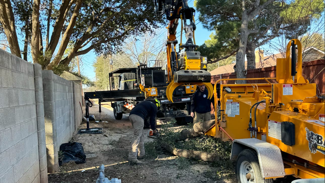 West Texas Tree Removal