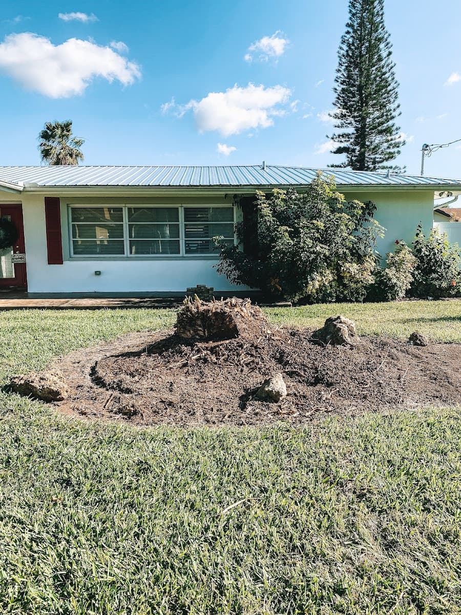 Forret Tree and Land Clearing
