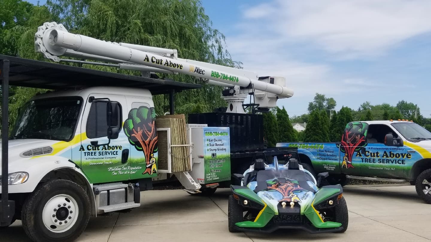 A Cut Above Tree Service