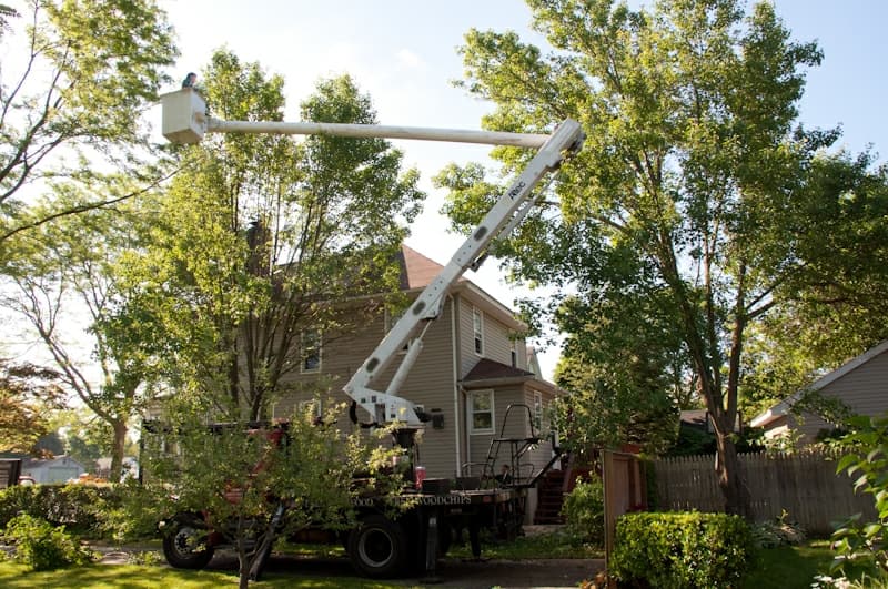 Joe's Complete Tree Service