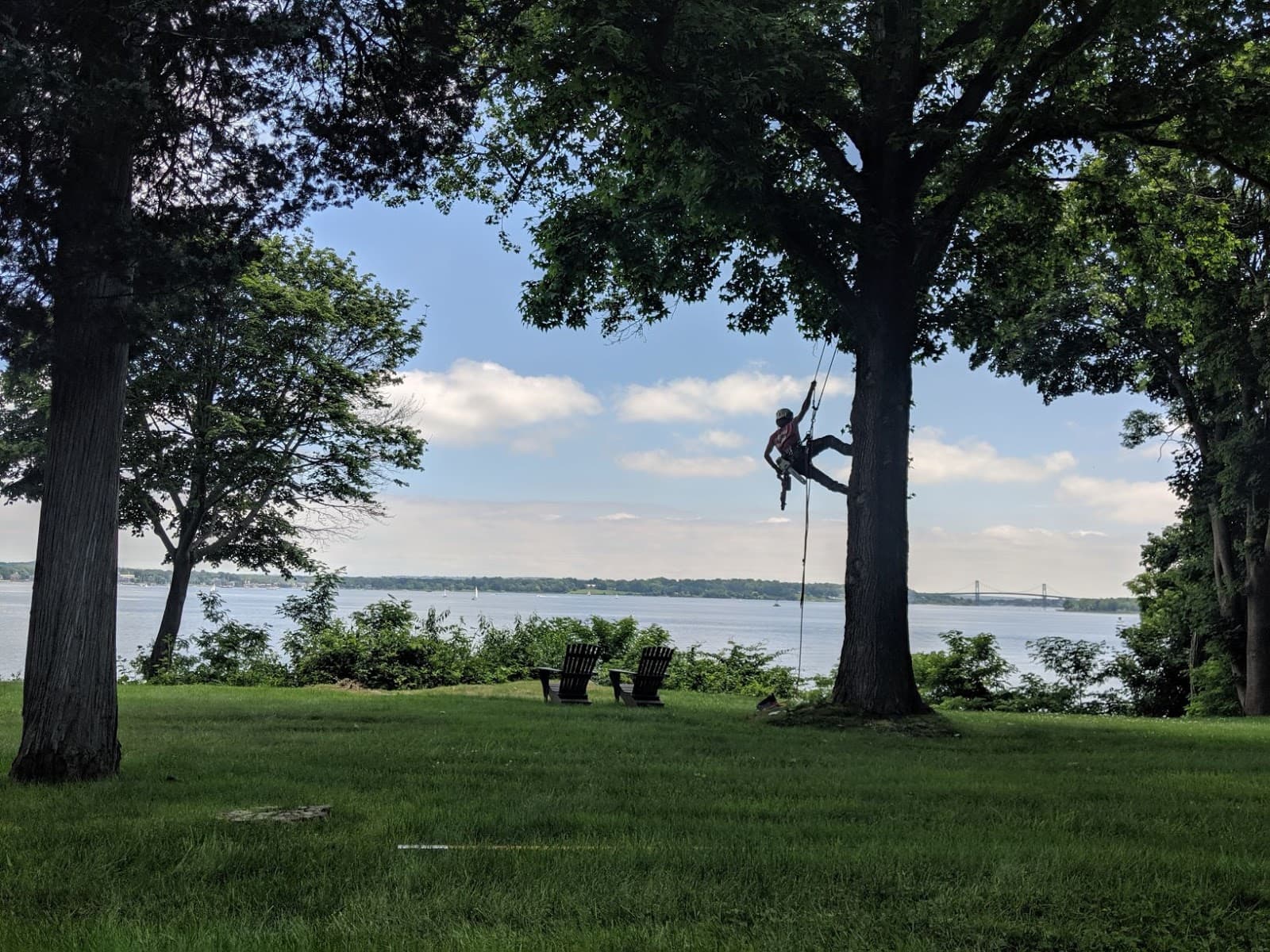 Stanley Tree Service, Inc