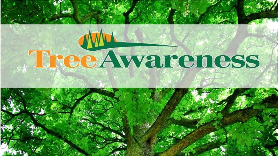 Tree Awareness Inc.