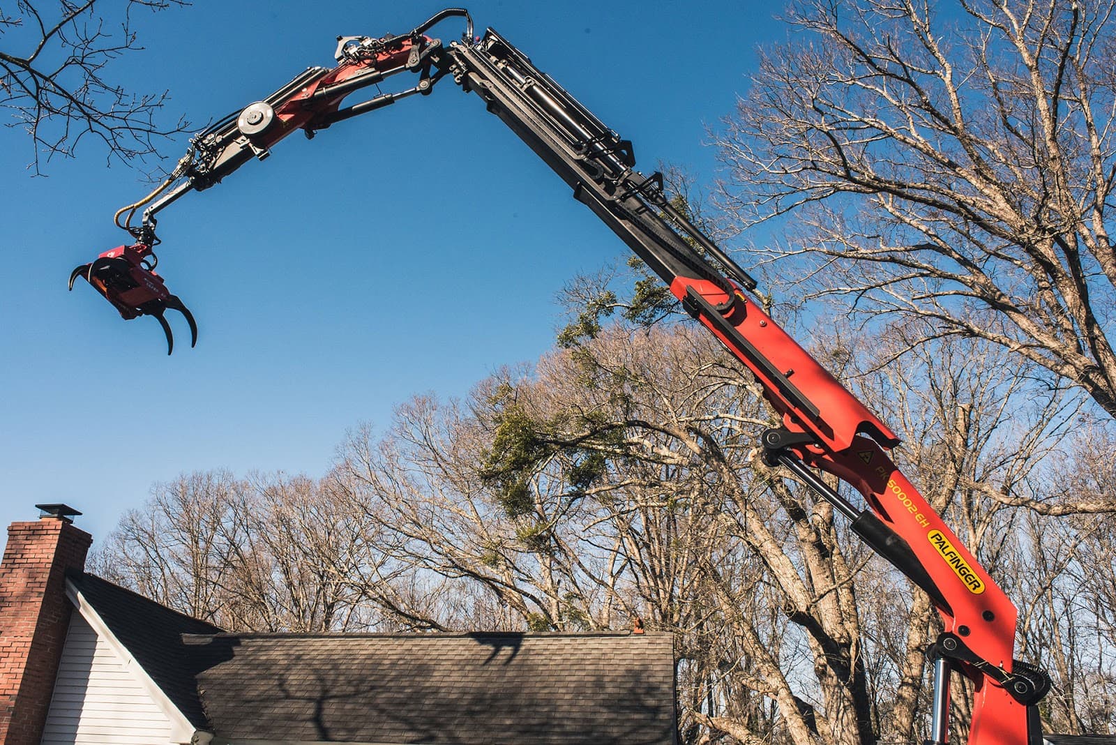 Carolina Tree Company, Inc.