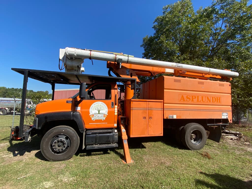 Bartolome's Tree service