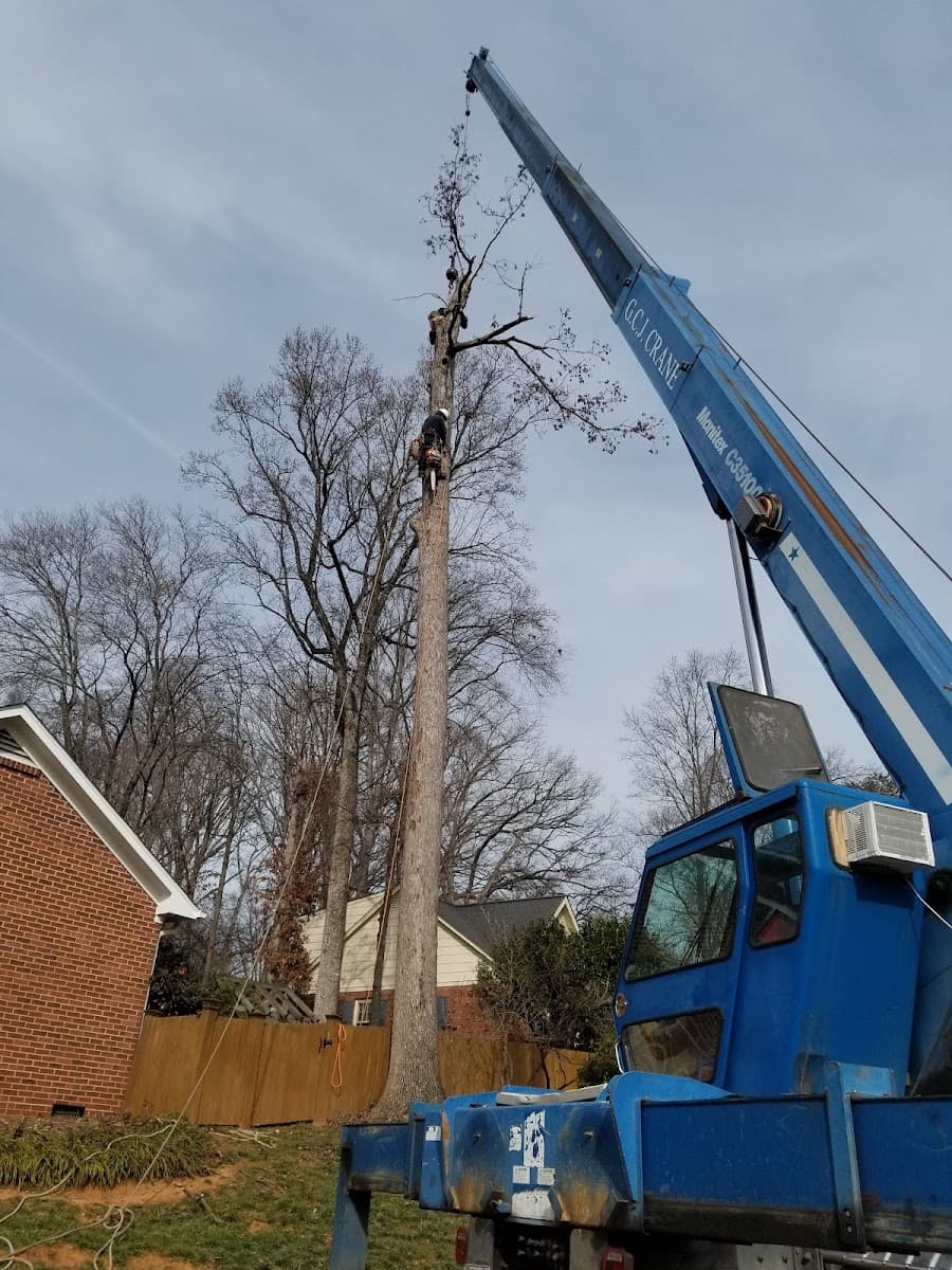 JR Tree Service & Landscaping