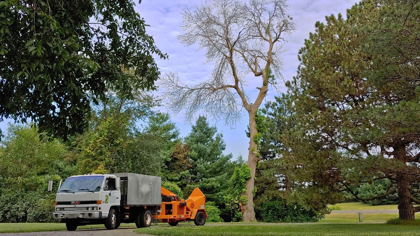 WI Cut Trees, LLC