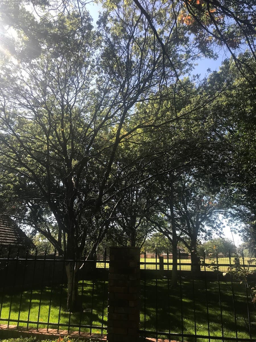 Tomcat's Tree Service LLC