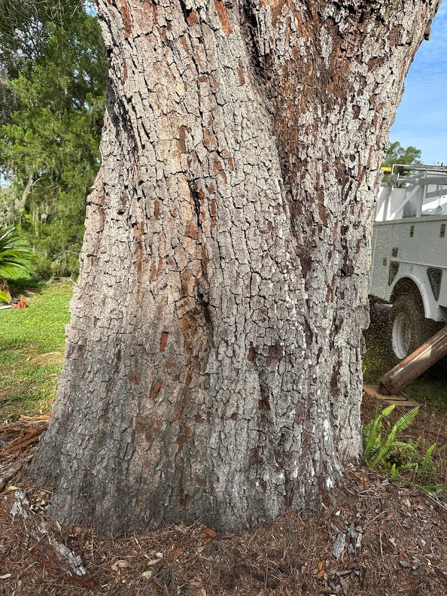 Priority Property Services FL LLC