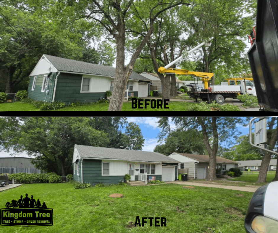 Kingdom Tree & Stump LLC