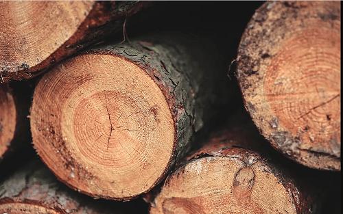 Vergara Tree Service and Demolition