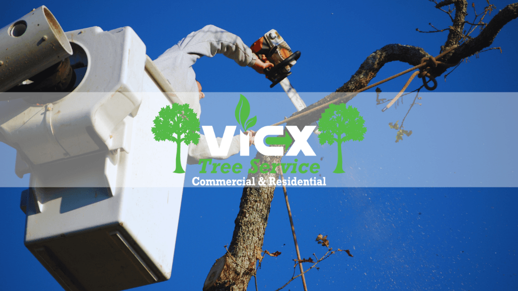 VICX tree service
