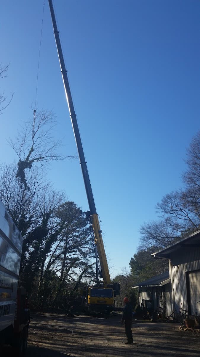 Craig Daniel Tree Services